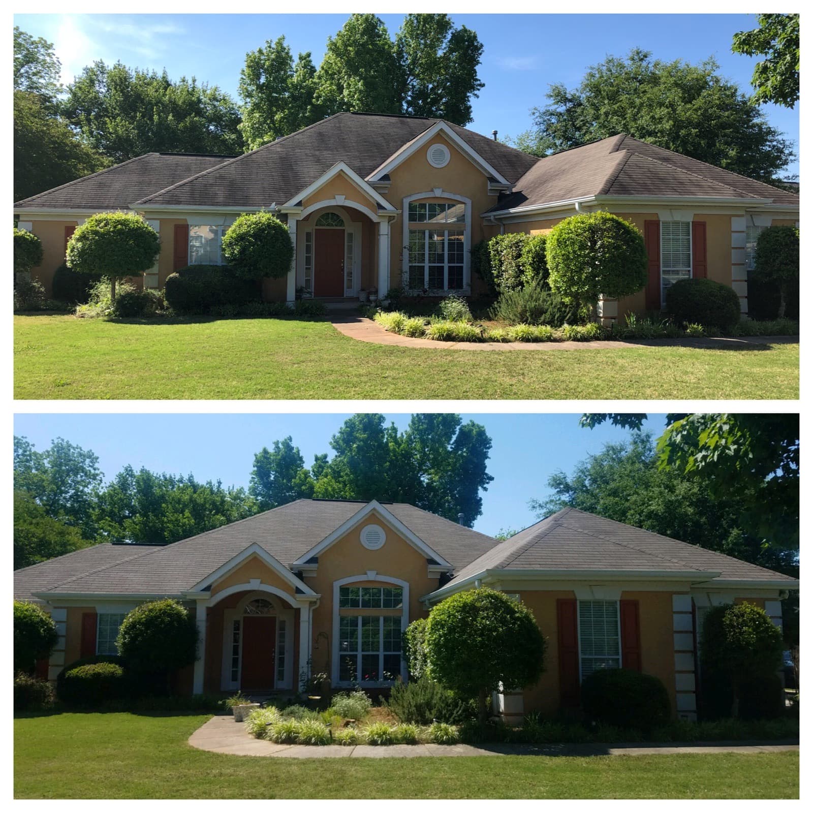 Yellow estate home before and after roof soft washing with dark stains removed